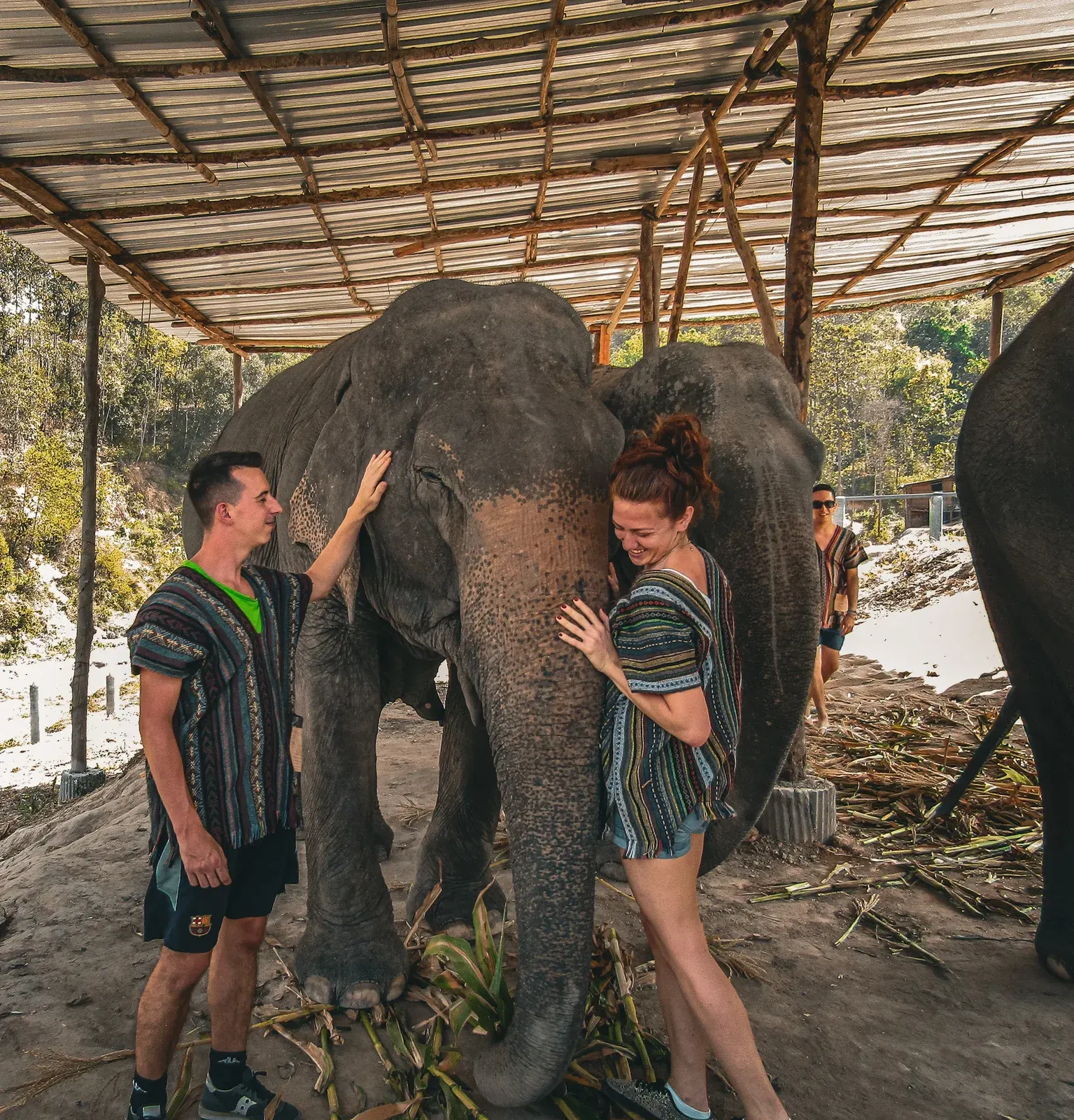 All'Elephant Jungle Sanctuary di Chiang Mai