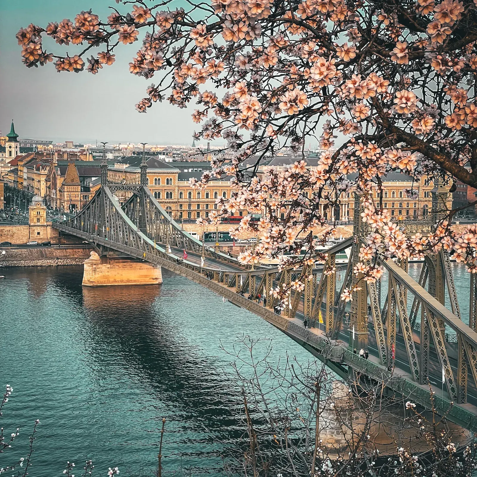 Ponte della libertà - Viaggio a Budapest | Italian Tourist