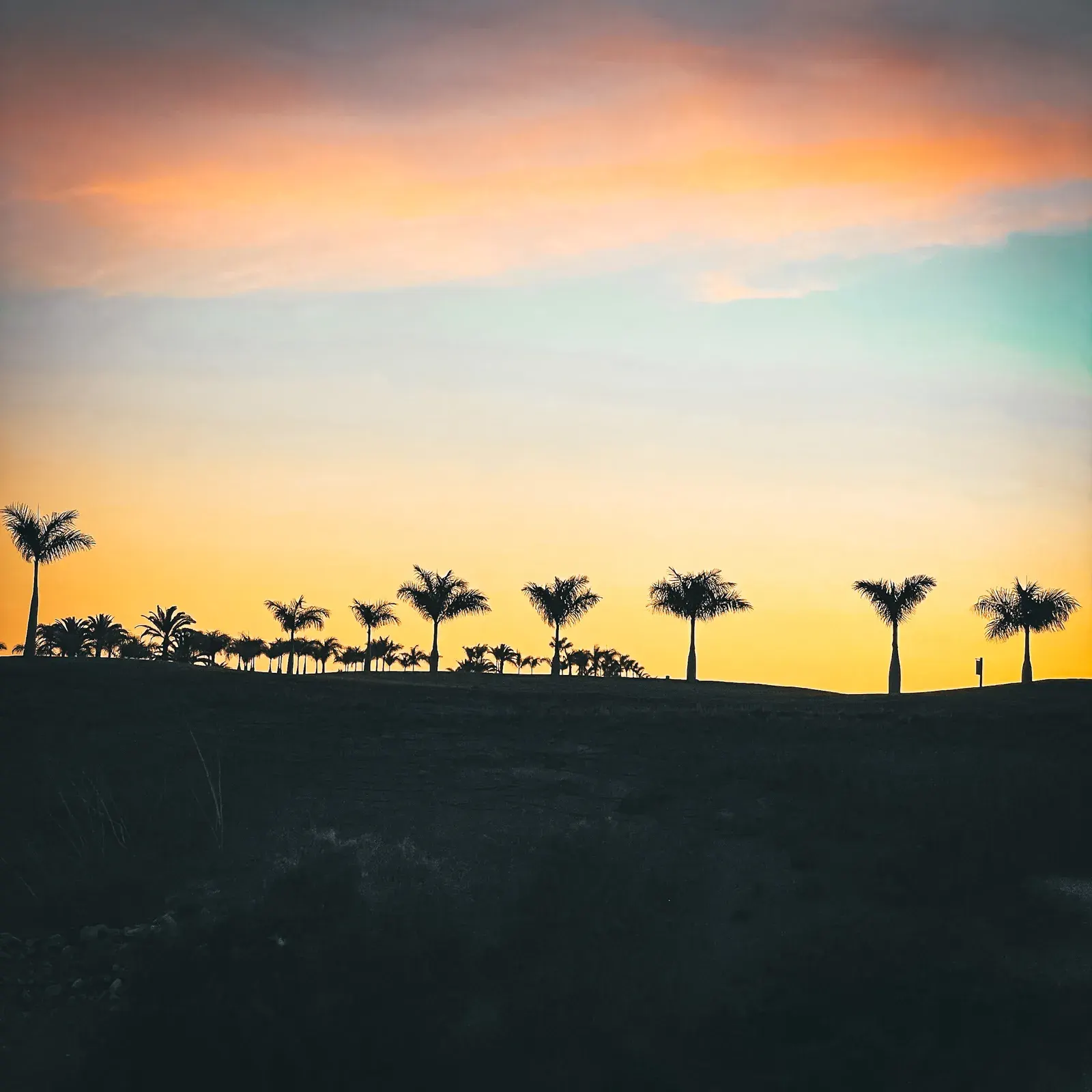 Meloneras palme e tramonti a Gran Canaria